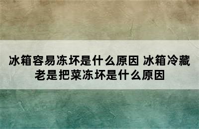 冰箱容易冻坏是什么原因 冰箱冷藏老是把菜冻坏是什么原因